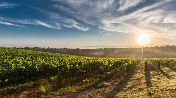 Serviços paralegais SP